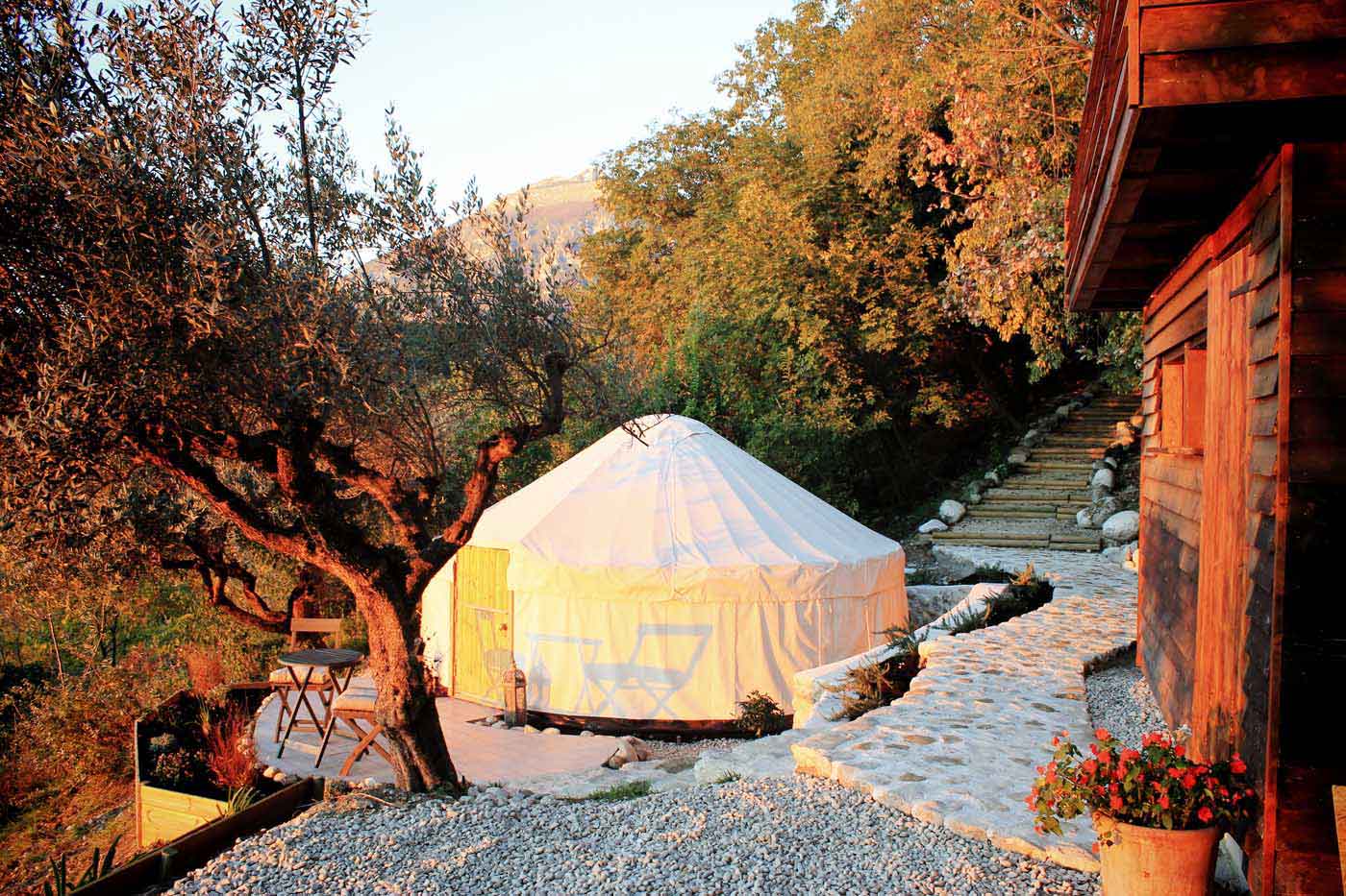 Olive blossom yurt at sunrise